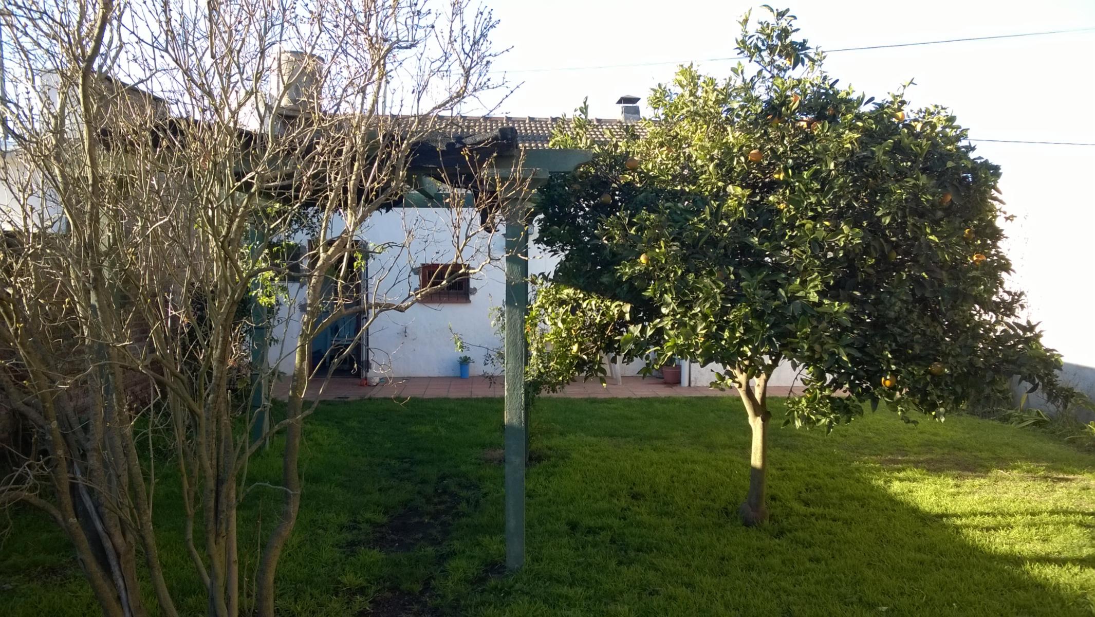 7 · Balcarce — foto 7