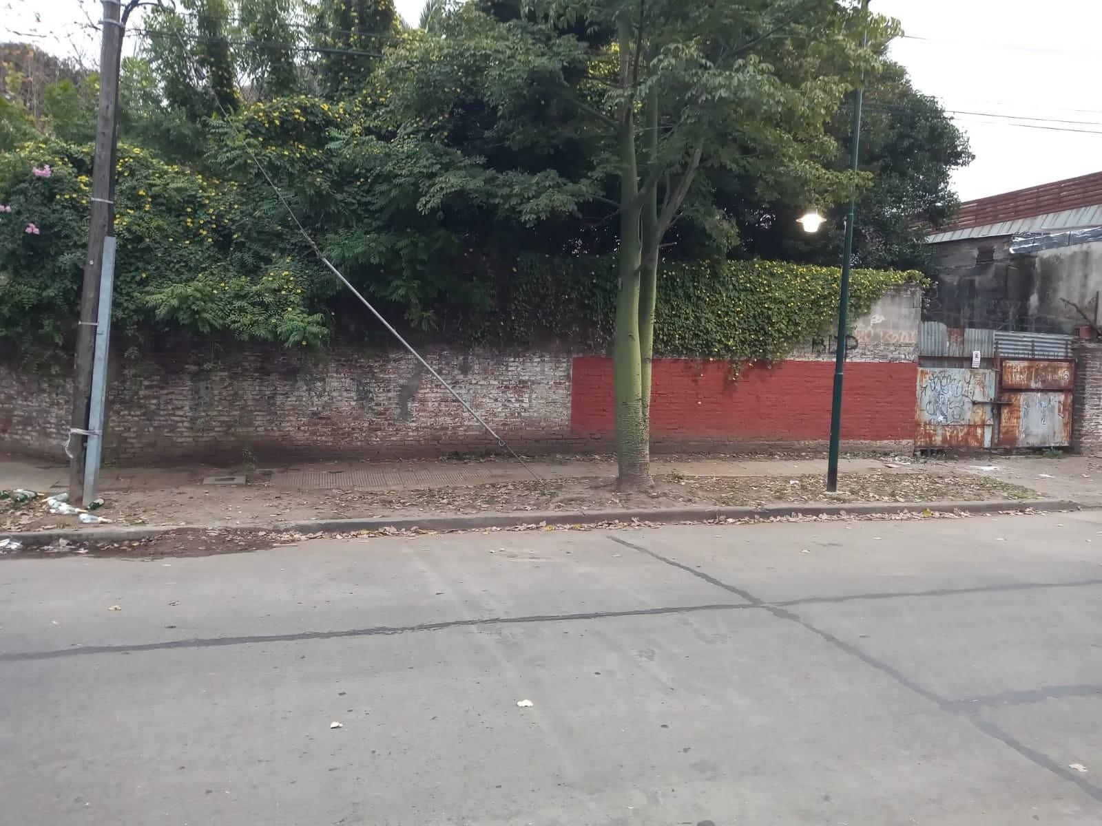 LOS CEIBOS Y WILDE · San Isidro — foto 3