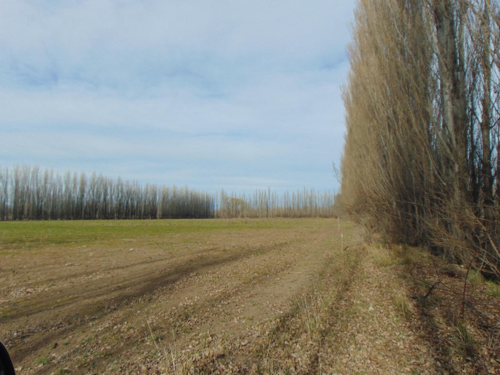 Sección Chacras Lamarque 0 · Avellaneda — foto 3