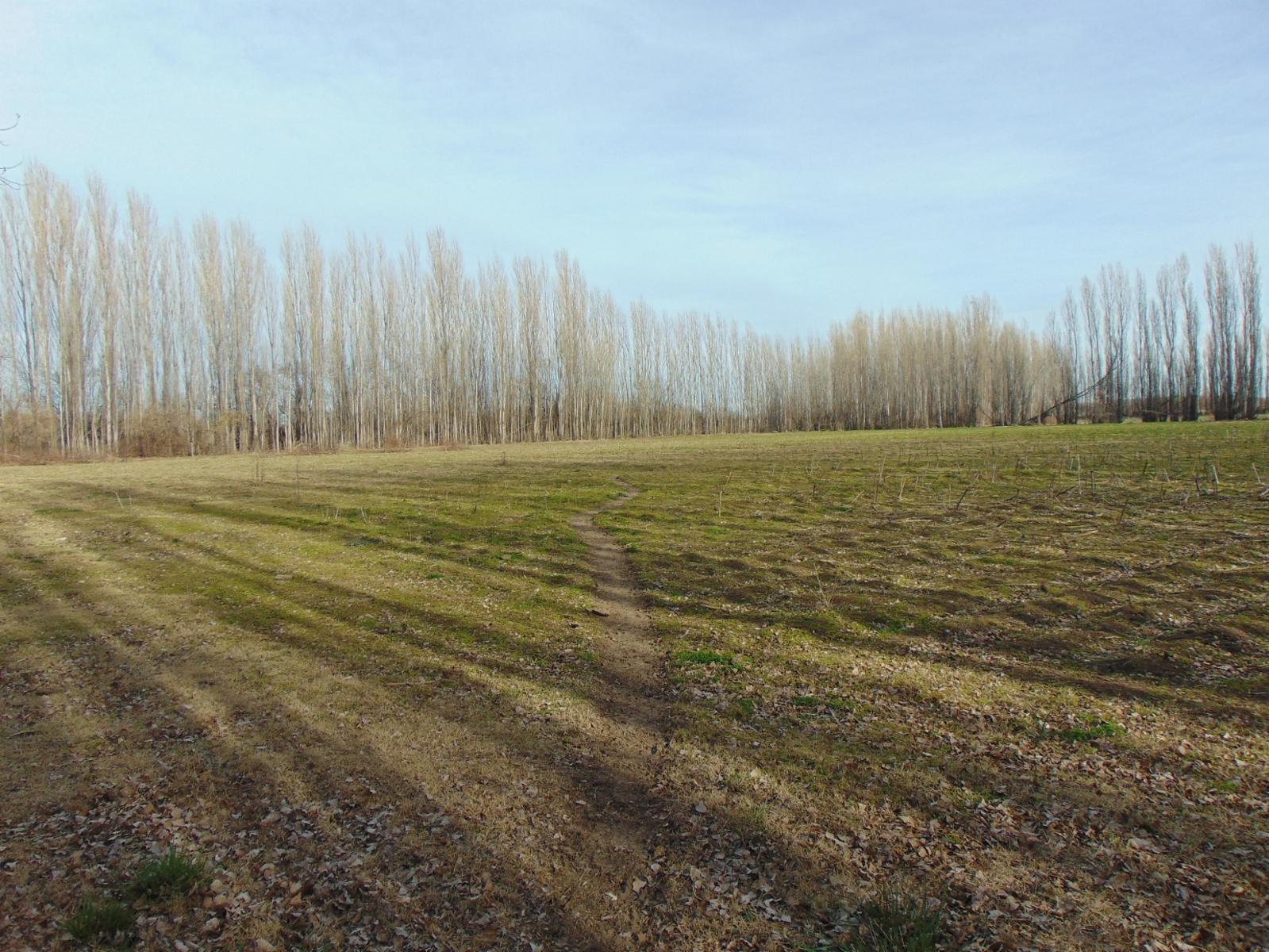 Sección Chacras Lamarque 0 · Avellaneda — foto 4