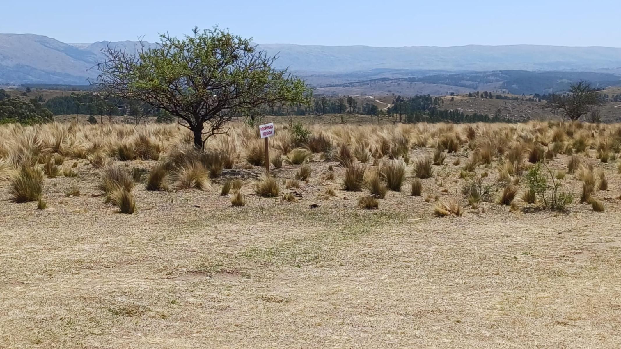 LIQUIDO DOS LOTES VILLA YACANTO · Calamuchita — foto 29
