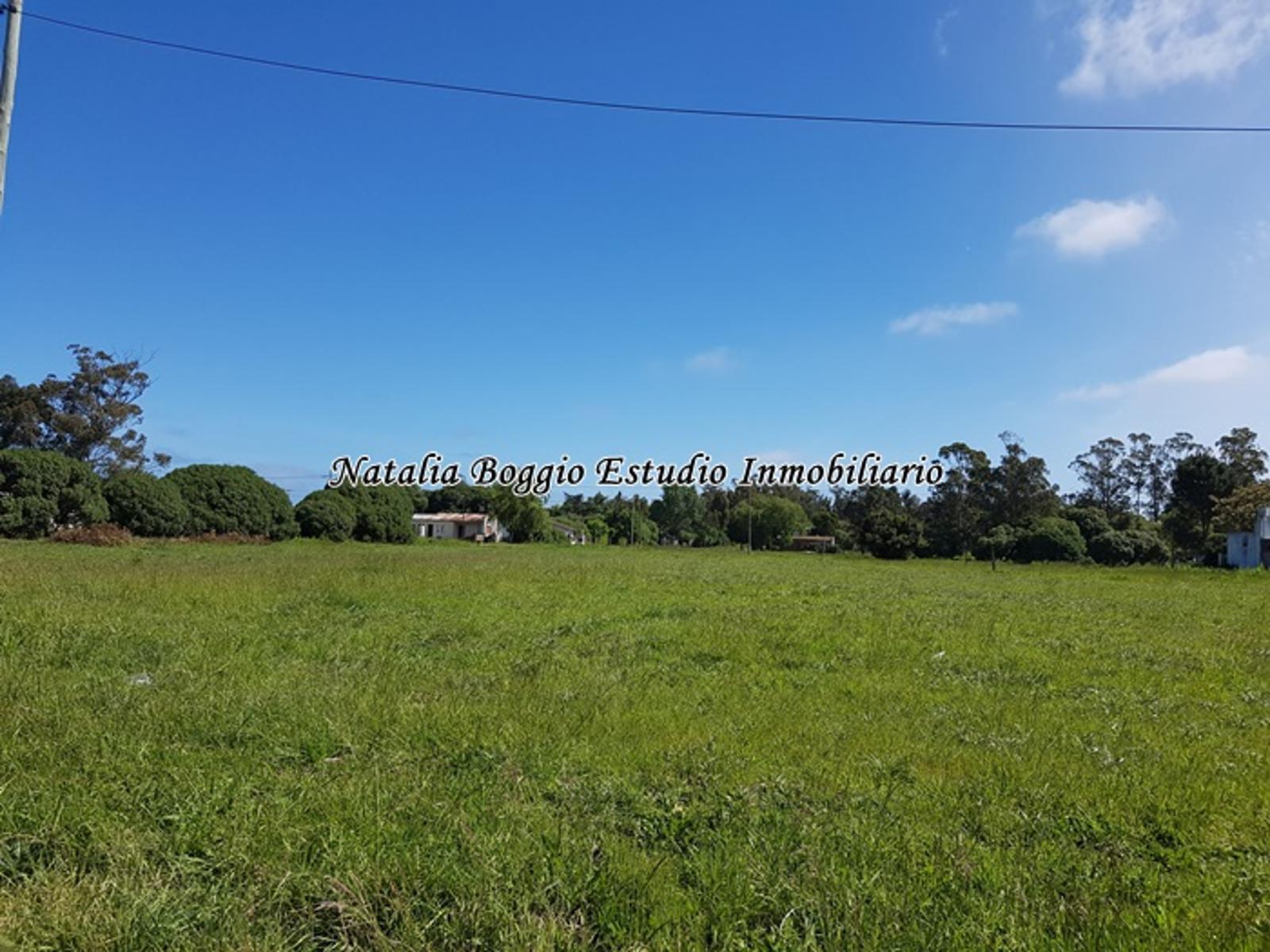 calle 25 · General Alvarado — foto 4