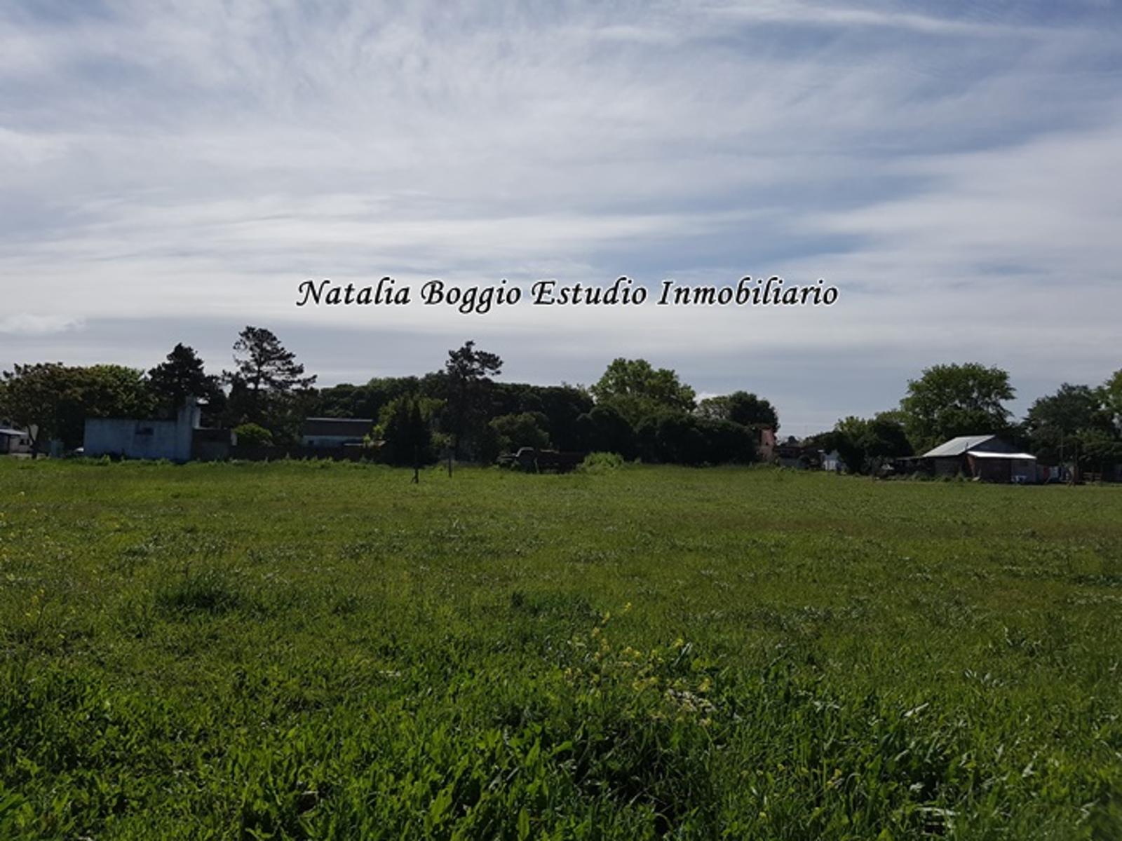 calle 25 · General Alvarado — foto 5