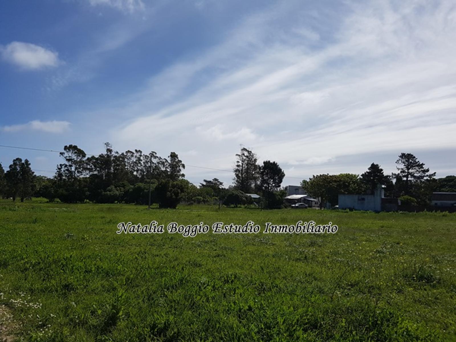 calle 25 · General Alvarado — foto 6