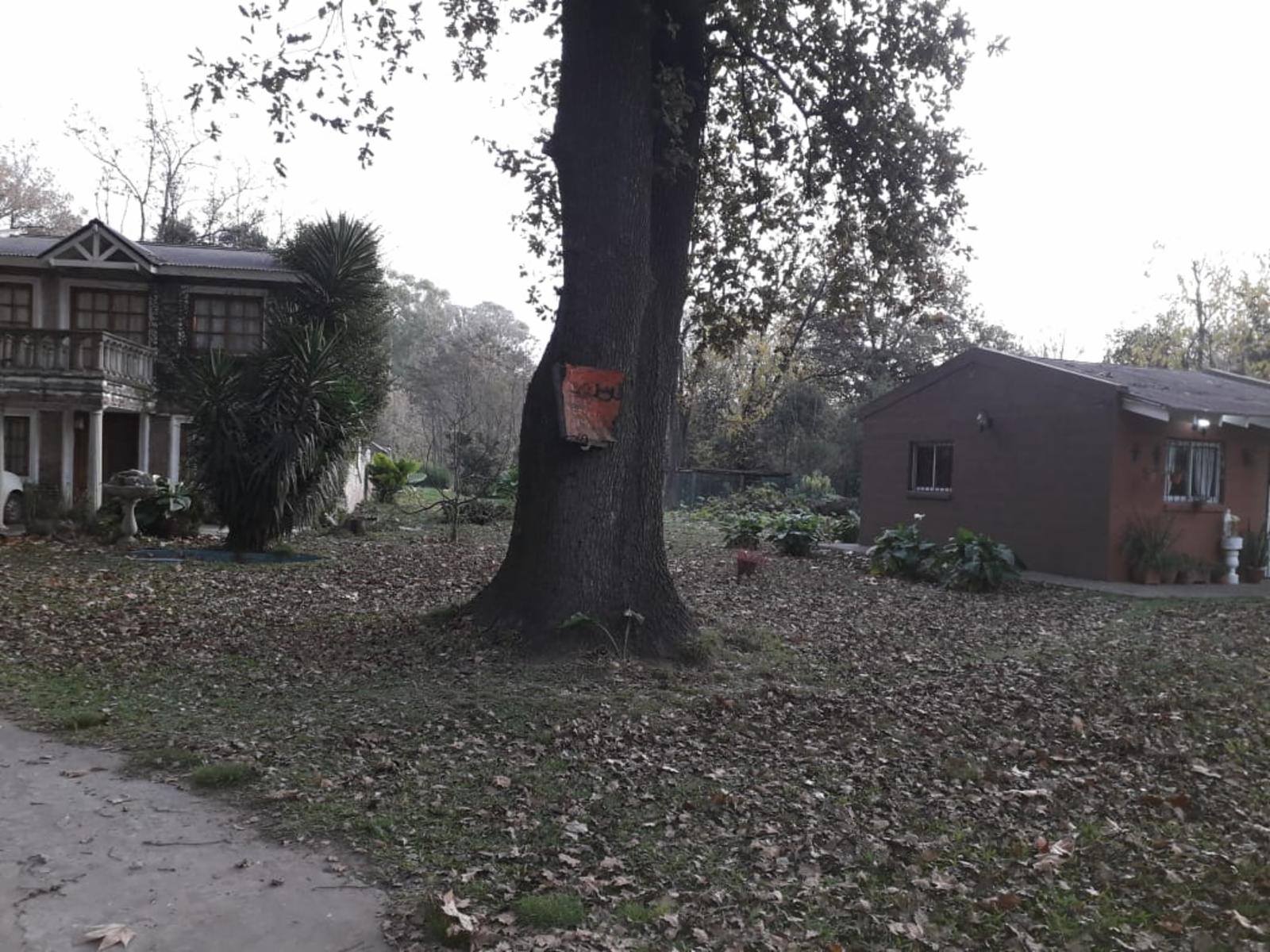 Coronel Suarez 1100 · Moreno — foto 15