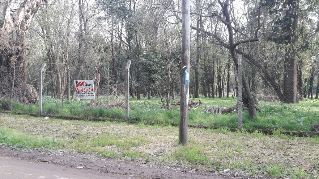 Coronel Suarez 1100 · Moreno — foto 5