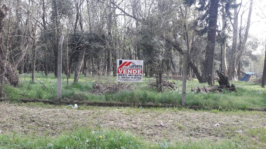 Coronel Suarez 1100 · Moreno — foto 6