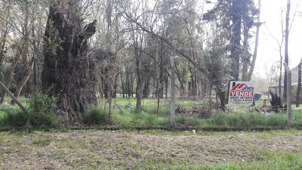 Coronel Suarez 1100 · Moreno — foto 7