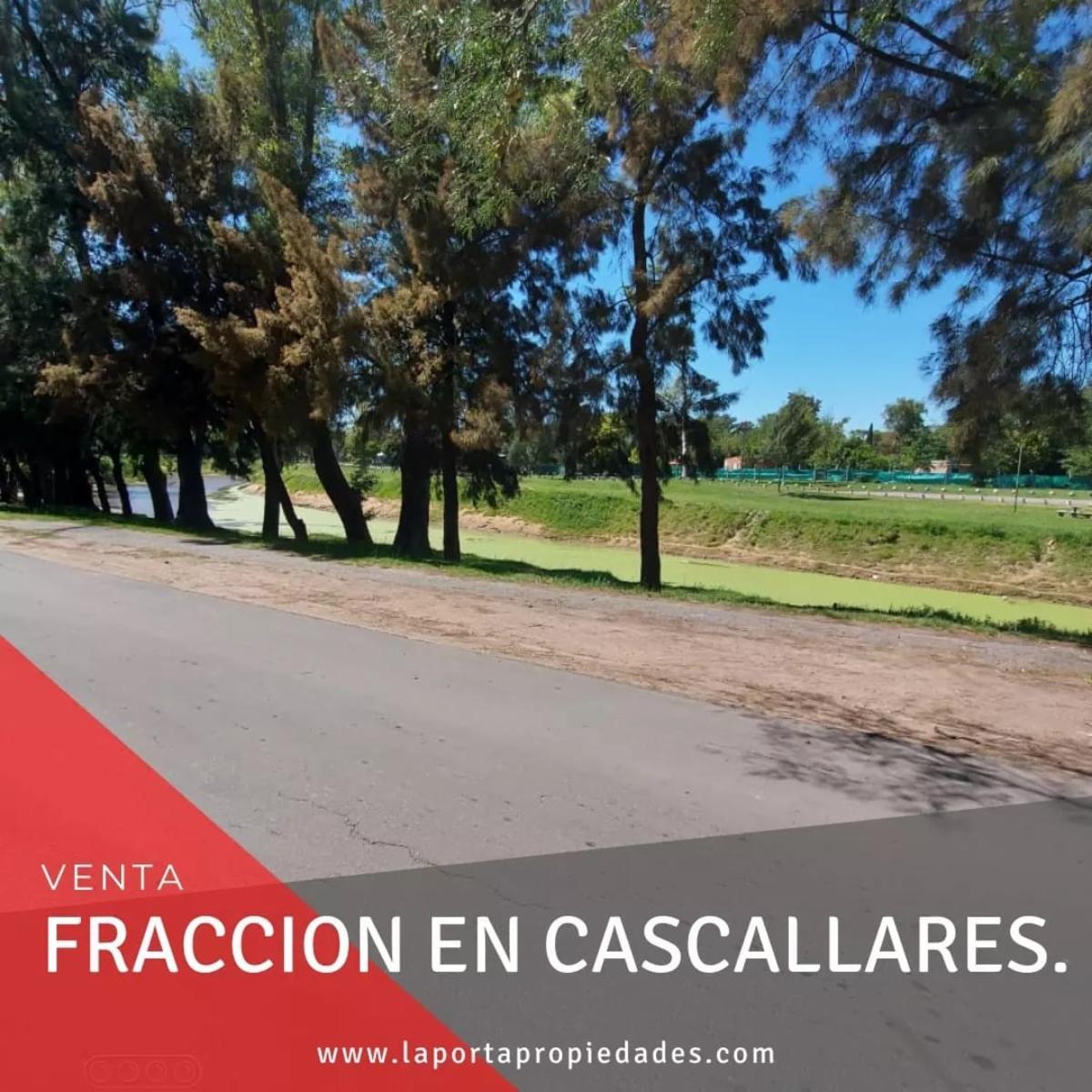 Lopez Buchardo · Moreno — foto 3