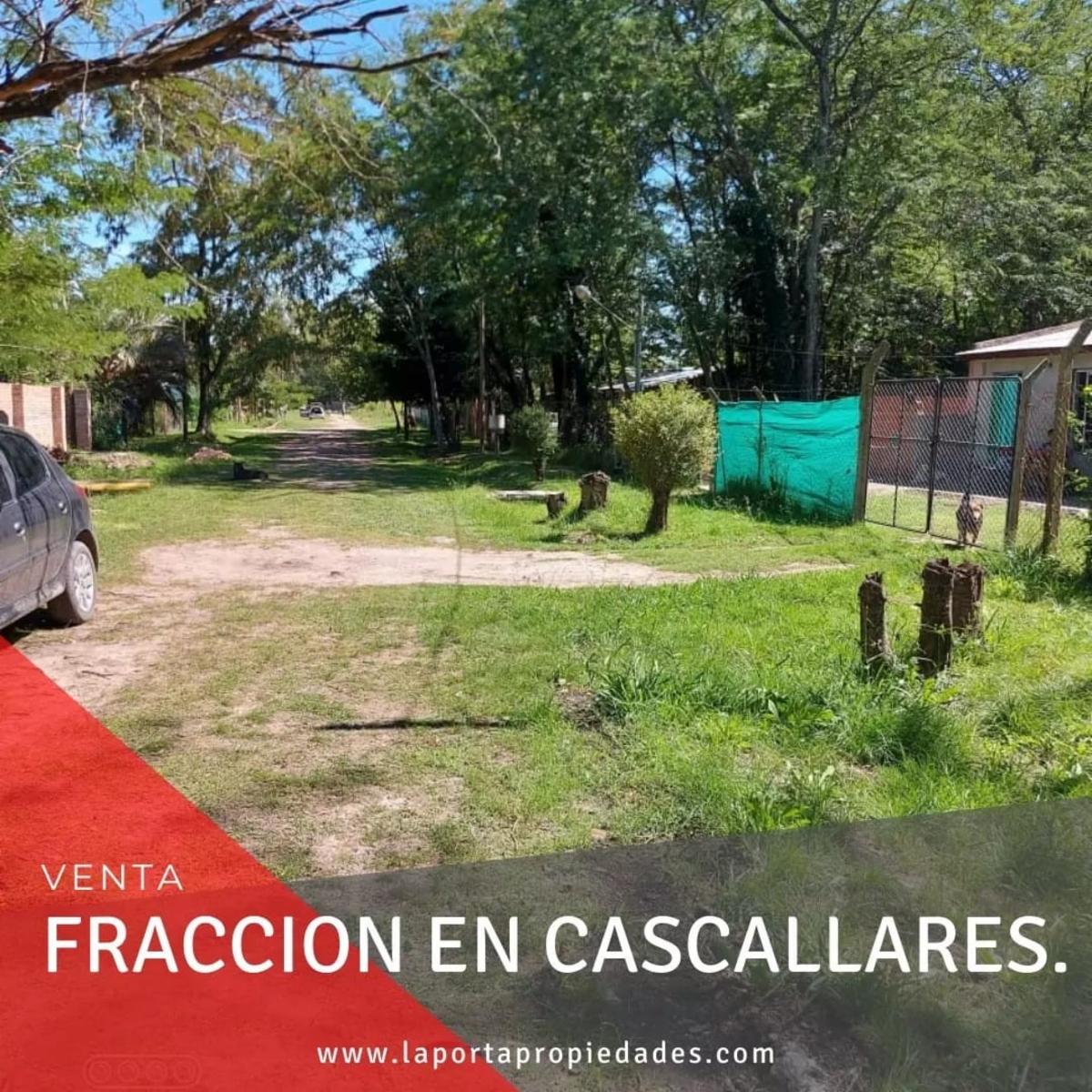 Lopez Buchardo · Moreno — foto 4