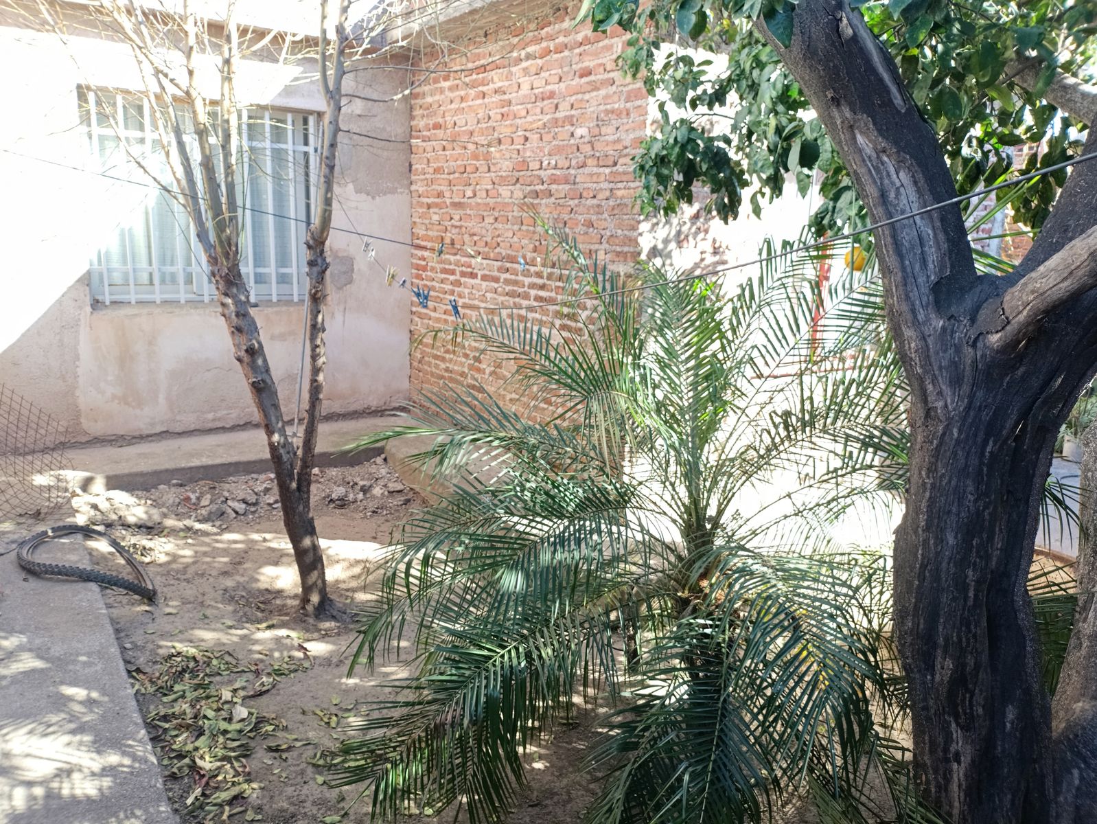 Díaz Colodrero 3.378 · Córdoba Capital — foto 15