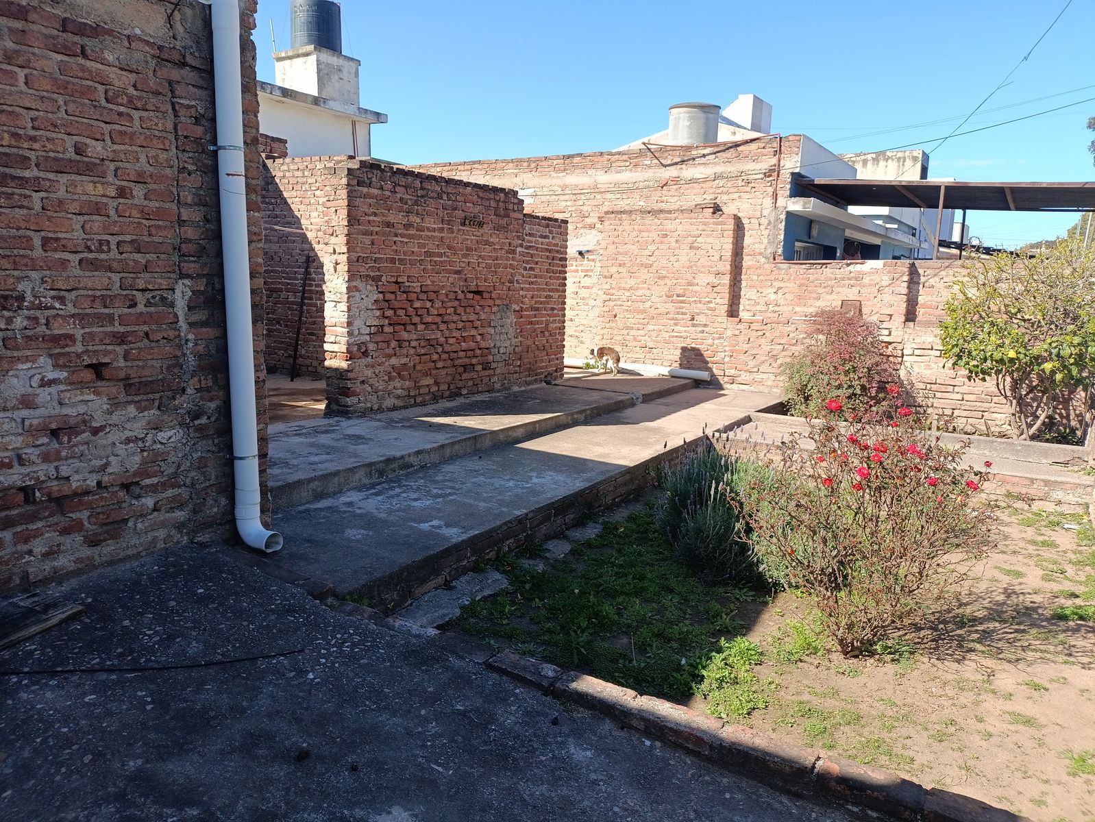 Díaz Colodrero 3.378 · Córdoba Capital — foto 4