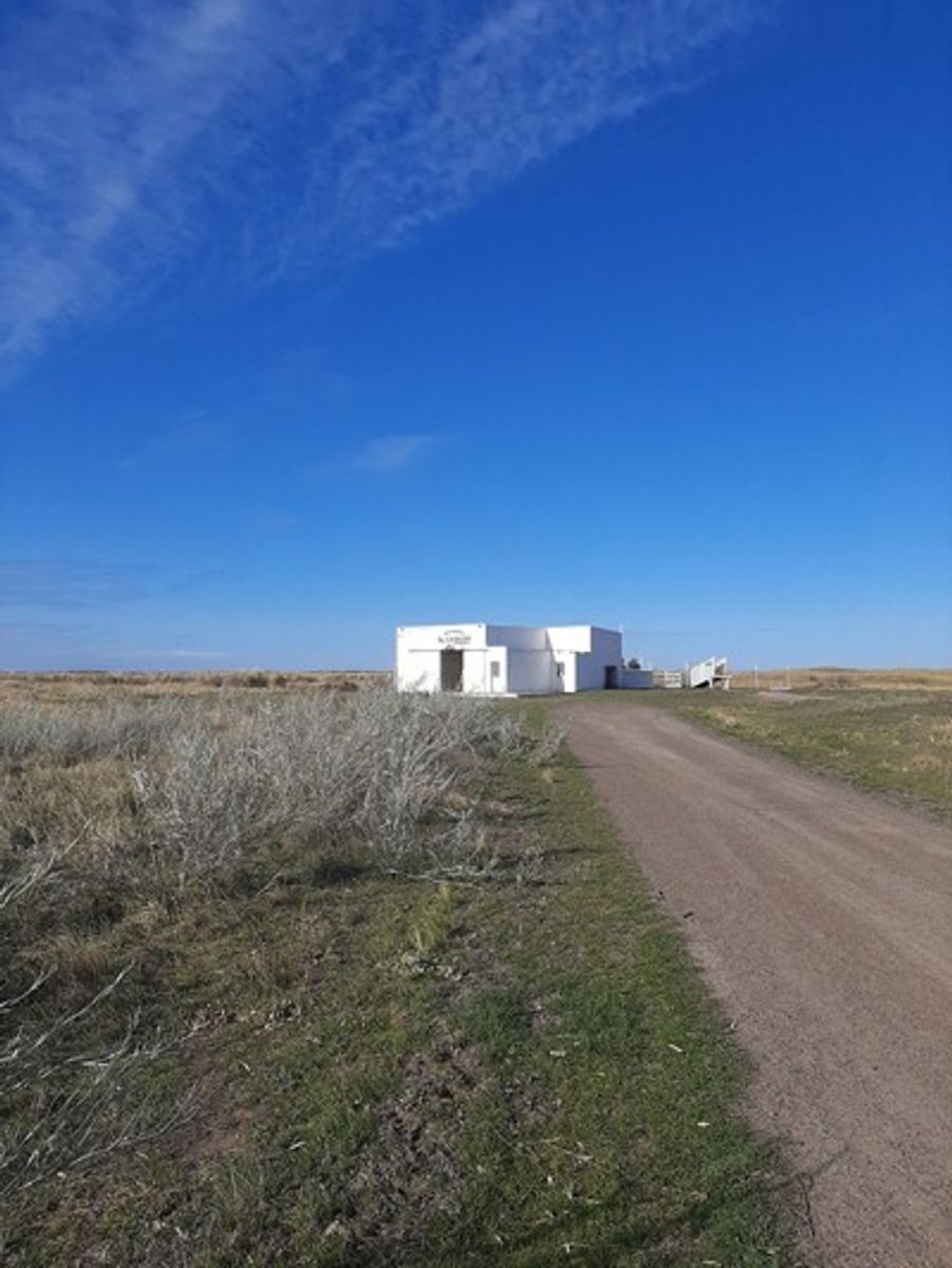 Isla de Jabalí, Bahía San Blas · Patagones — foto 3