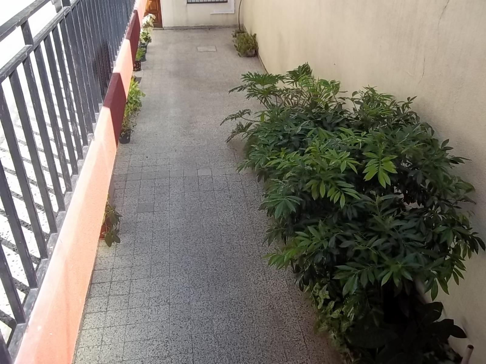 LAZCANO 100 · La Matanza — foto 8