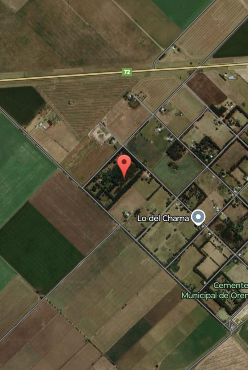 VENDO QUINTA C/CASCO EN ORENSE (8 HECTAREAS) · Tres Arroyos — foto 3
