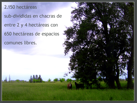 Benquerecia Farm Club · San Miguel del Monte — foto 3