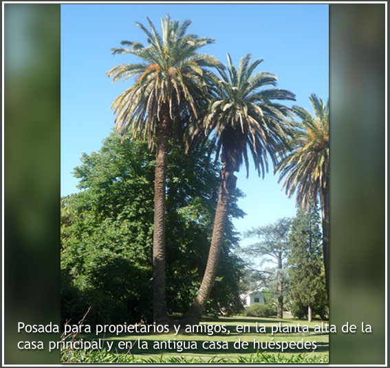 Benquerecia Farm Club · San Miguel del Monte — foto 4