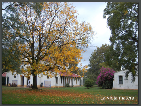 Benquerecia Farm Club · San Miguel del Monte — foto 5