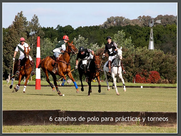 Benquerecia Farm Club · San Miguel del Monte — foto 8