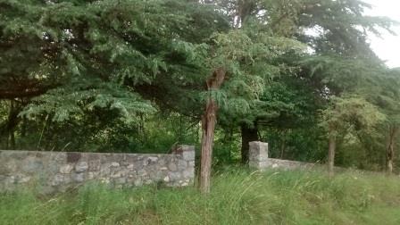 LOTE APTO COMPLEJO RESIDENCIAL