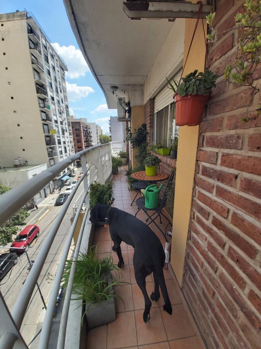 Salguero 5100 · San Martín — foto 5