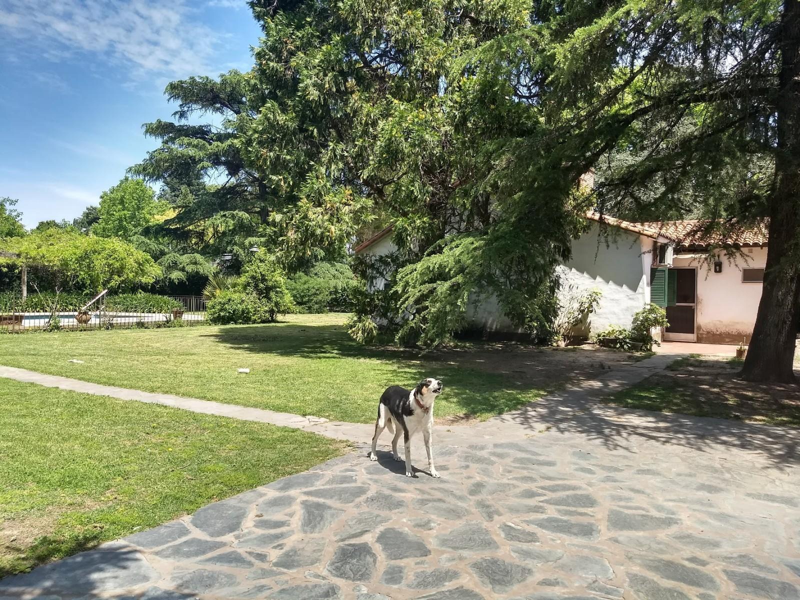 EL MAITEN 588 · Ezeiza — foto 29