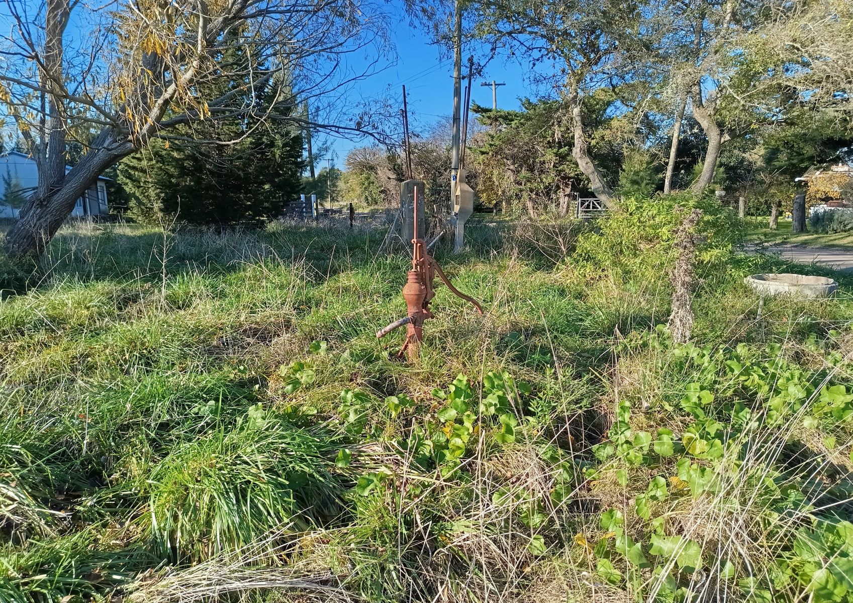 Araucanos · Punta Indio — foto 12