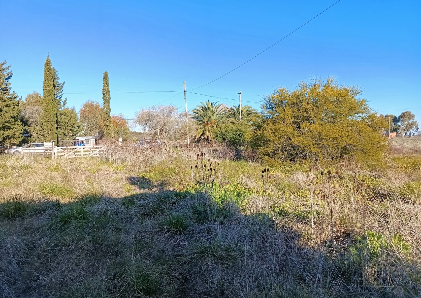 Araucanos · Punta Indio — foto 13