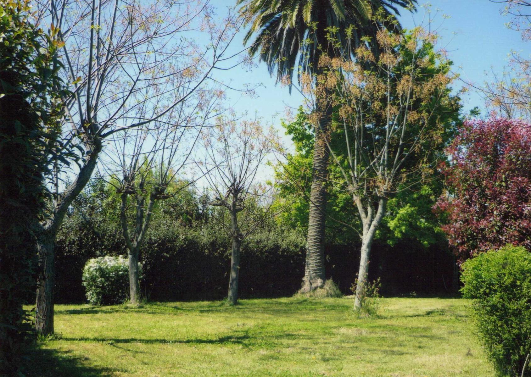 Intendente Buzzi Esq. Vergara · General Las Heras — foto 3