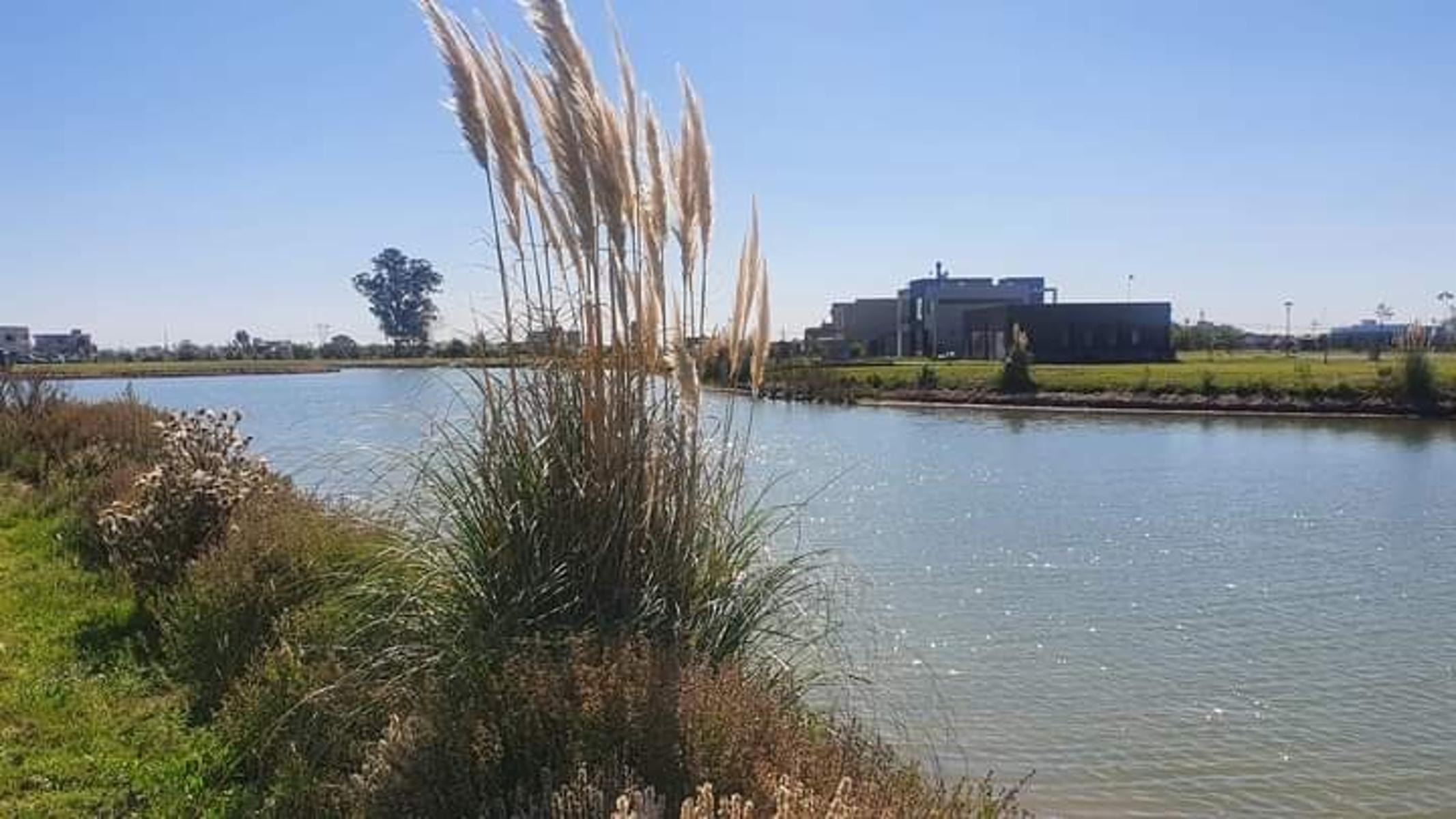 Santa Clara al sur · San Vicente — foto 17