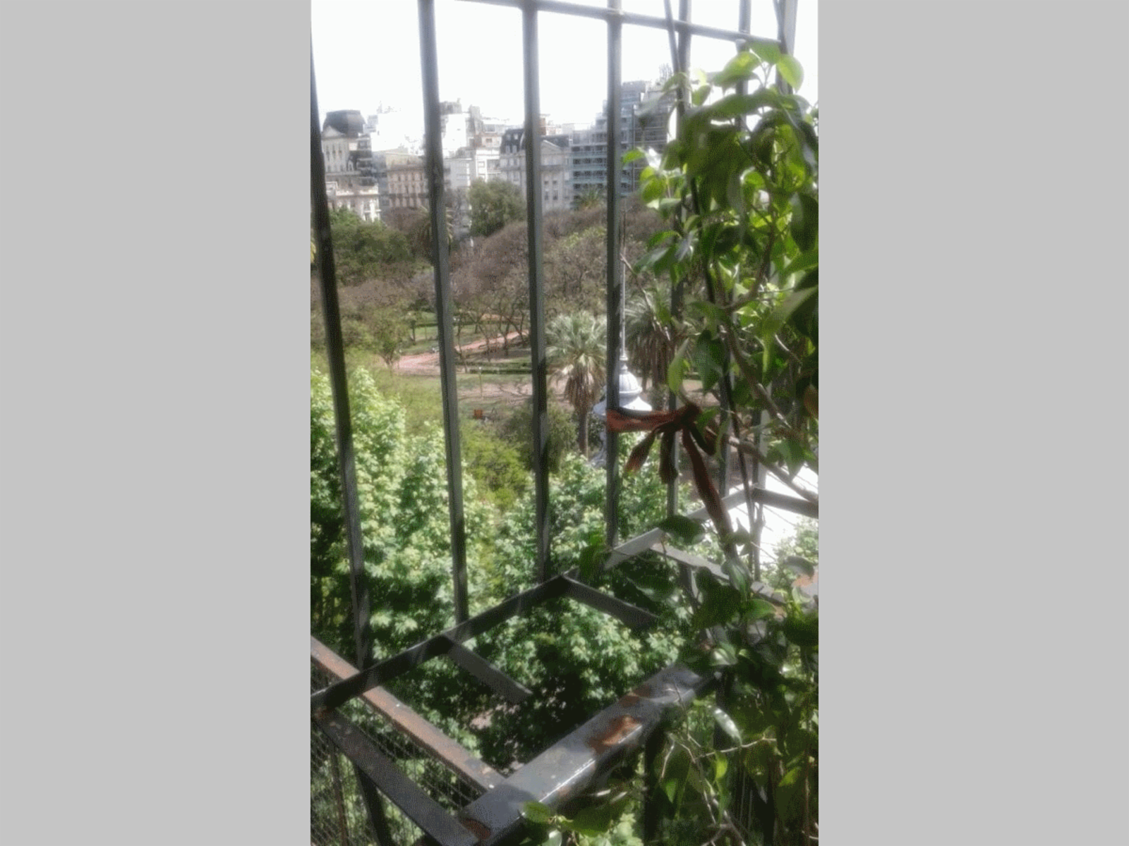 Rodríguez Peña 1000 · Barrio Norte — foto 5