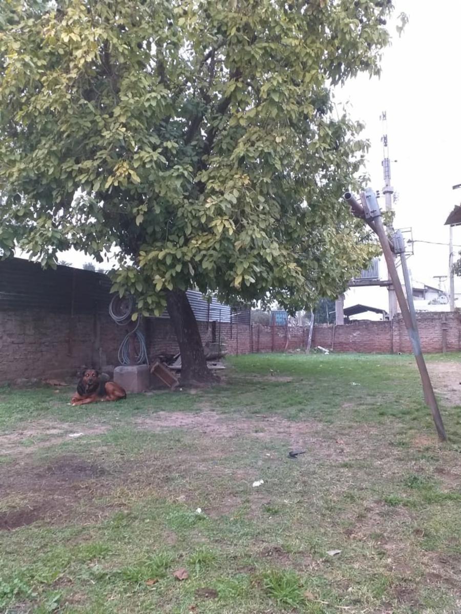 RAWSON 3400 · Merlo — foto 8