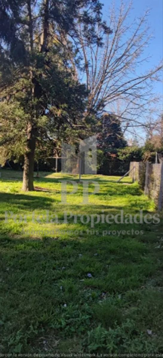 Del Ombu 1979 · Ituzaingó — foto 5