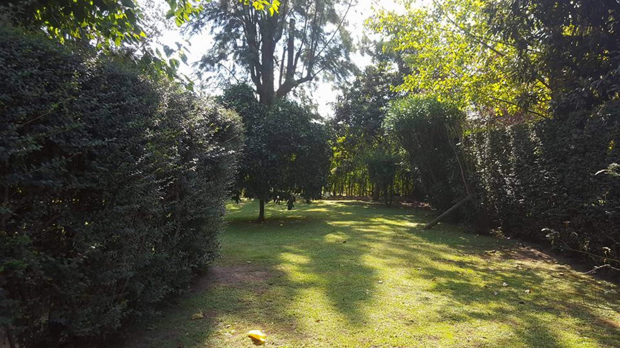 Tapalque · Moreno — foto 13