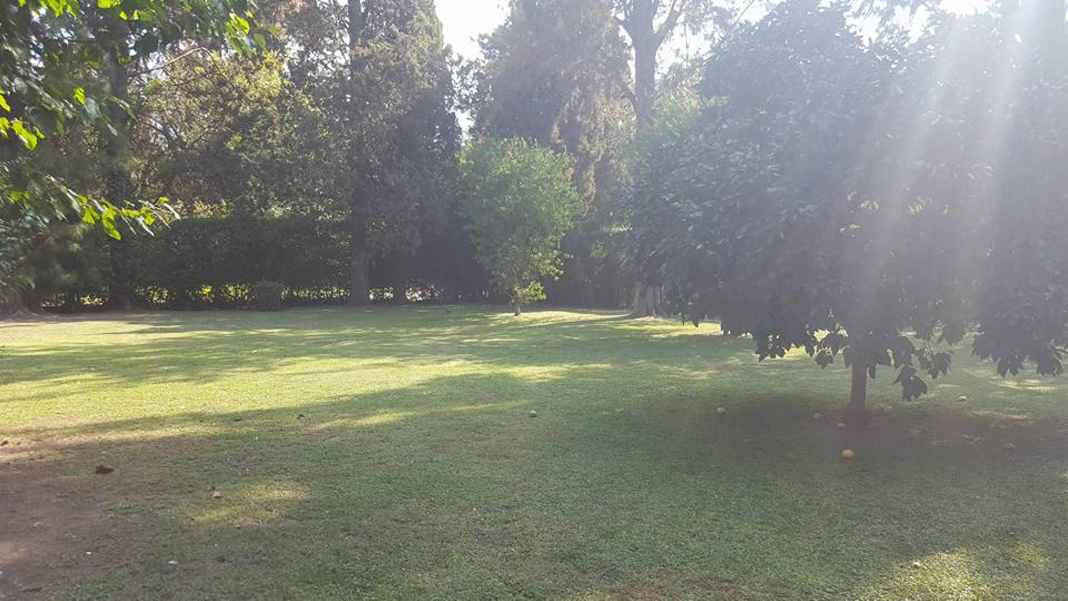 Tapalque · Moreno — foto 17