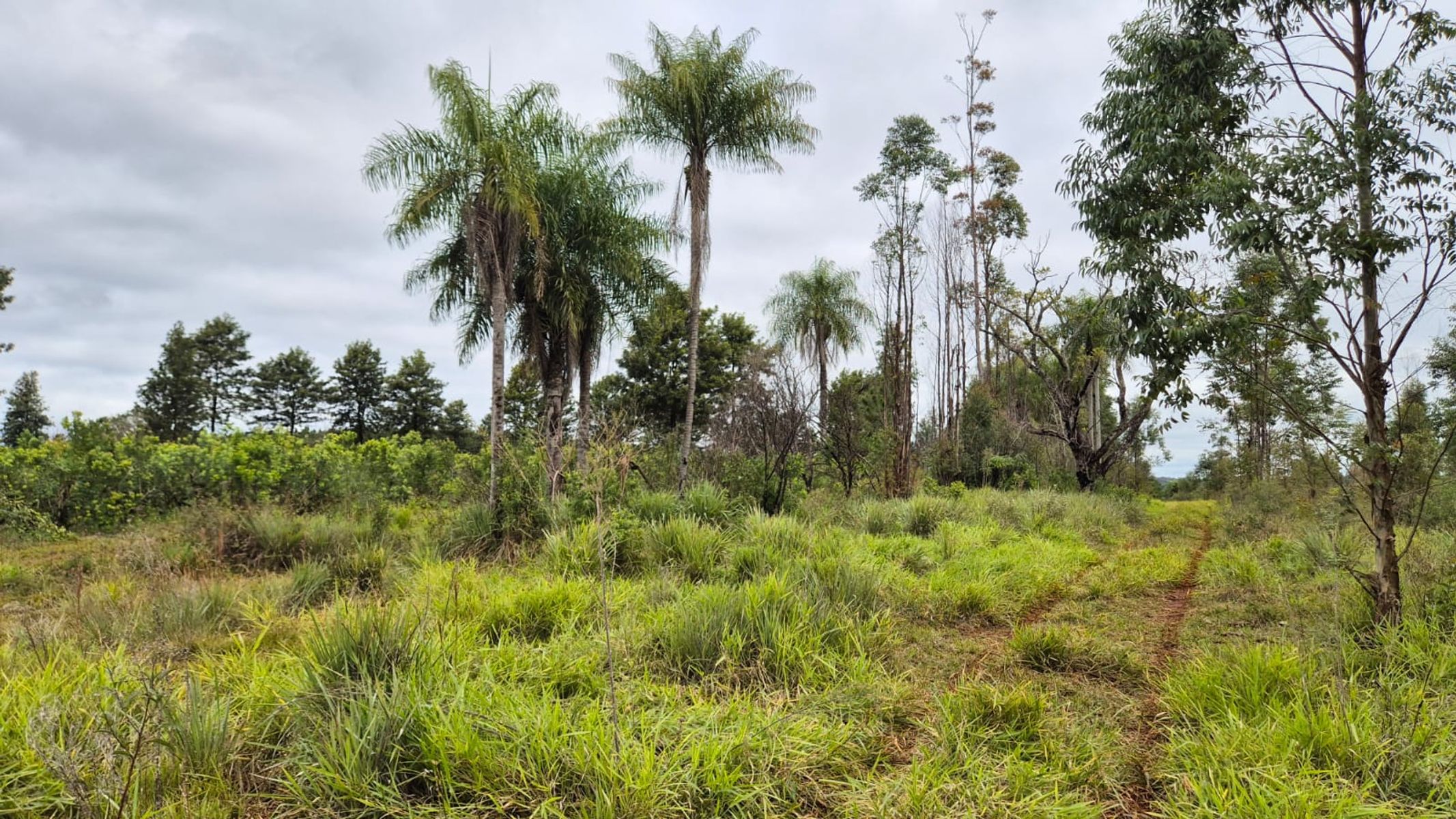 RUTA NACIONAL 12 · San Ignacio — foto 3