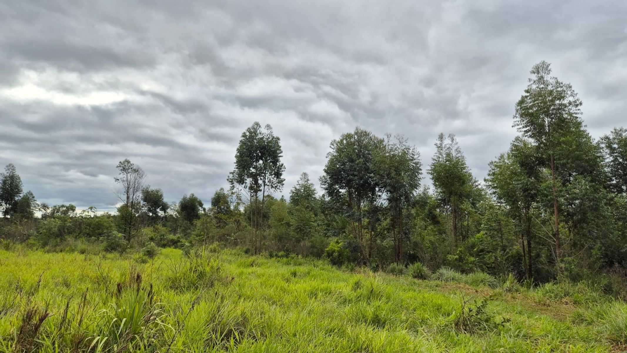 RUTA NACIONAL 12 · San Ignacio — foto 4