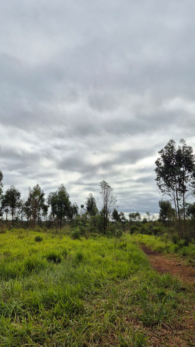 RUTA NACIONAL 12 · San Ignacio — foto 5