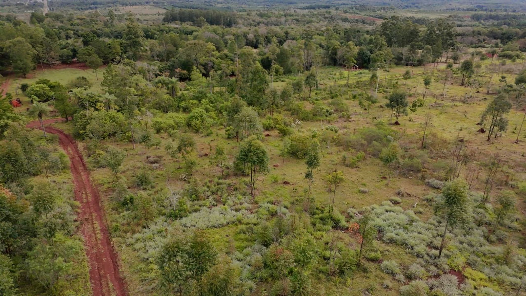 RUTA NACIONAL 12 · San Ignacio — foto 7
