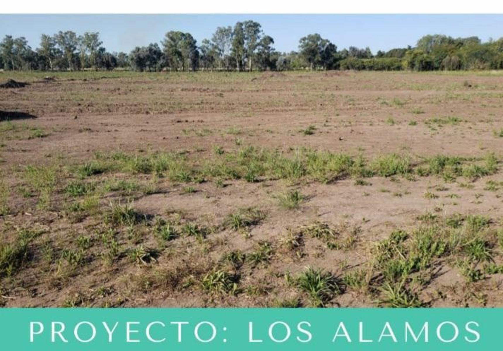 LOS ALAMOS · Pilar — foto 3