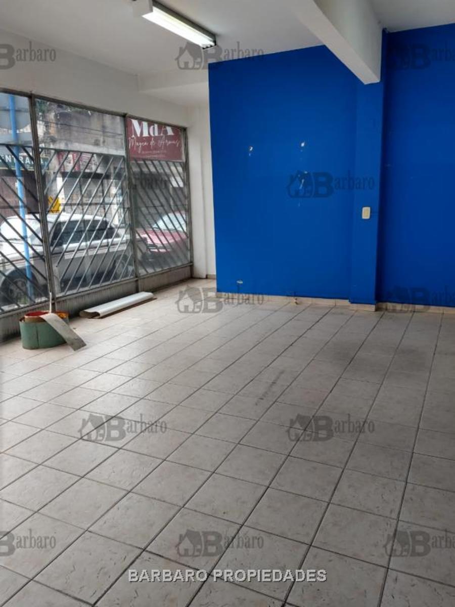 Mitre 3400 · San Martín — foto 7