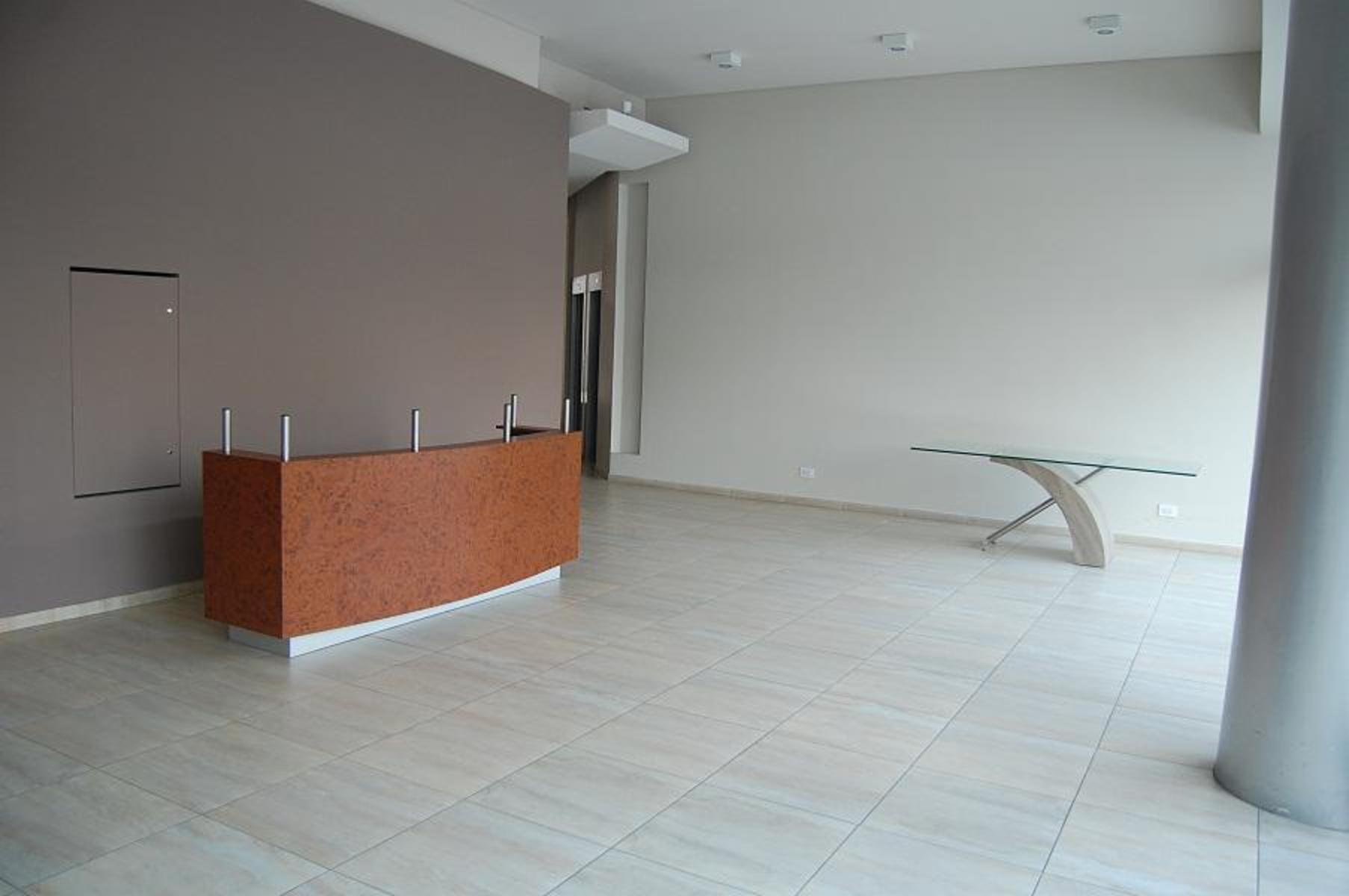 ARISTOBULO DEL VALLE · San Martín — foto 18