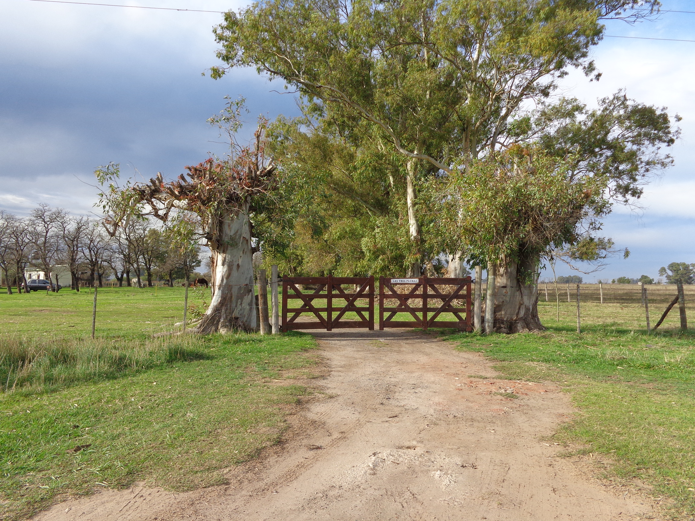 Ruta N°3 km 190, a 800m de Ruta · Las Flores — foto 12