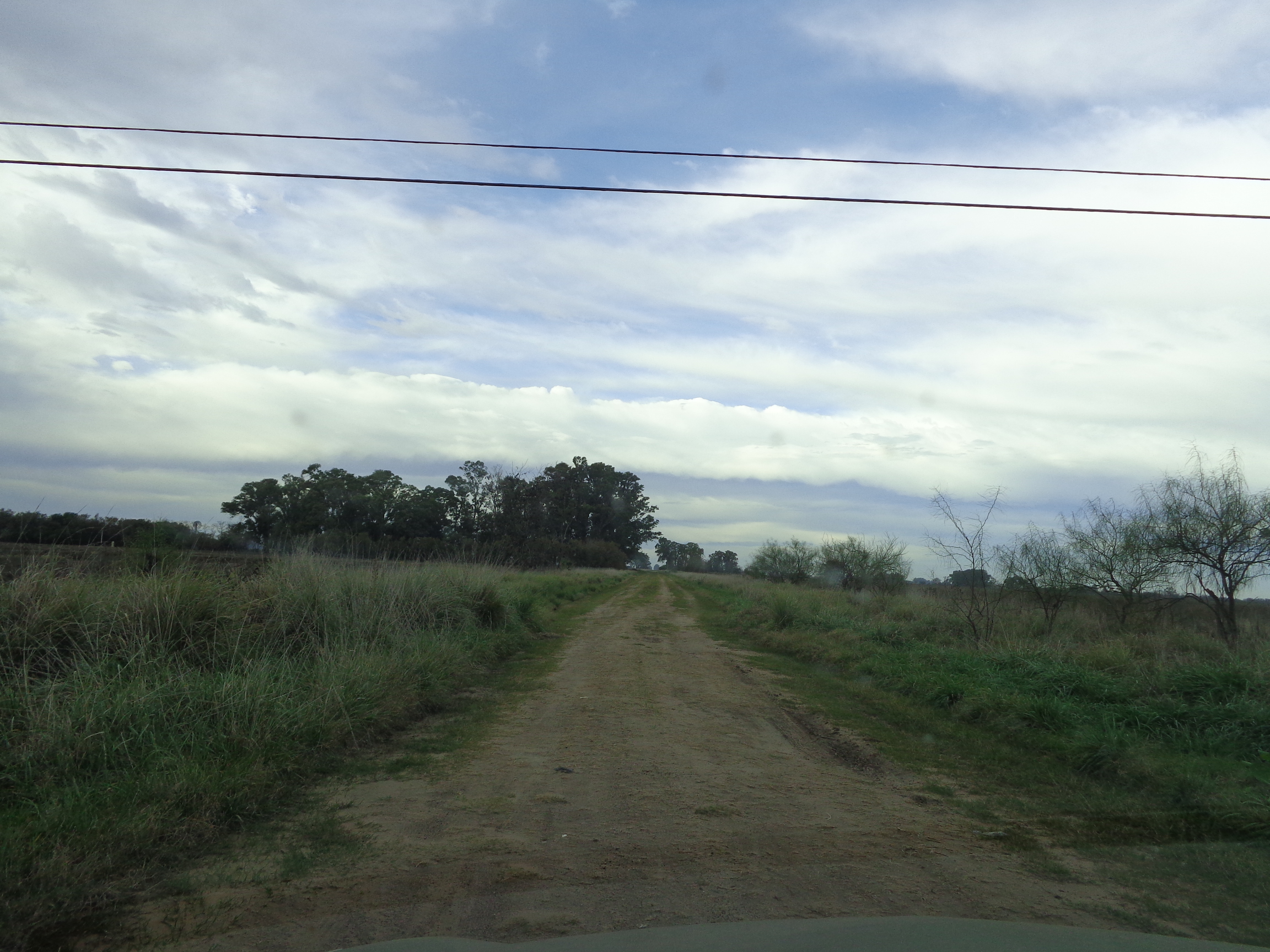 Ruta N°3 km 190, a 800m de Ruta · Las Flores — foto 14