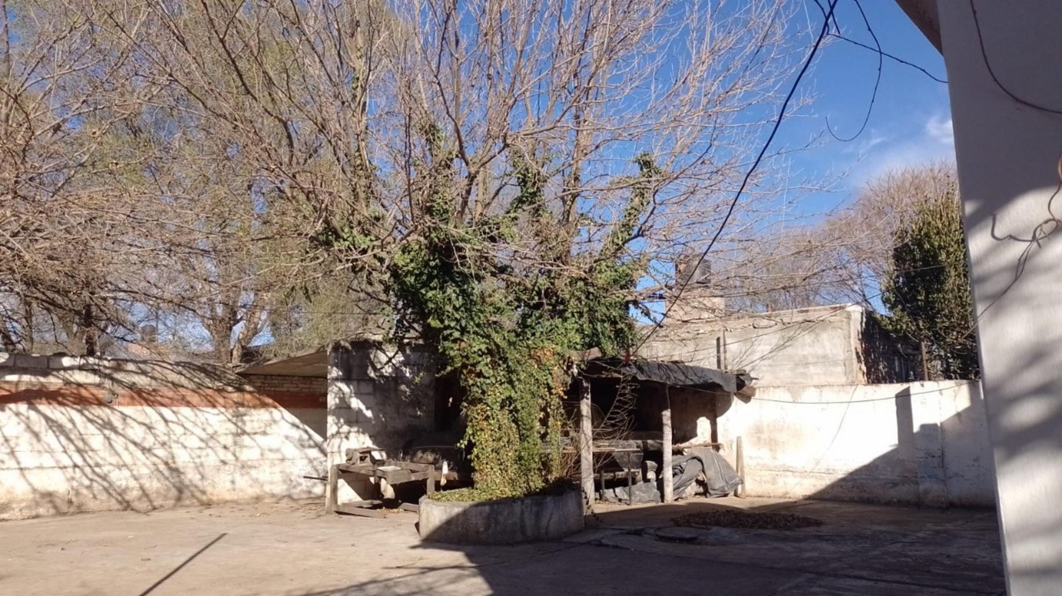 Ruta 14 · San Alberto — foto 16