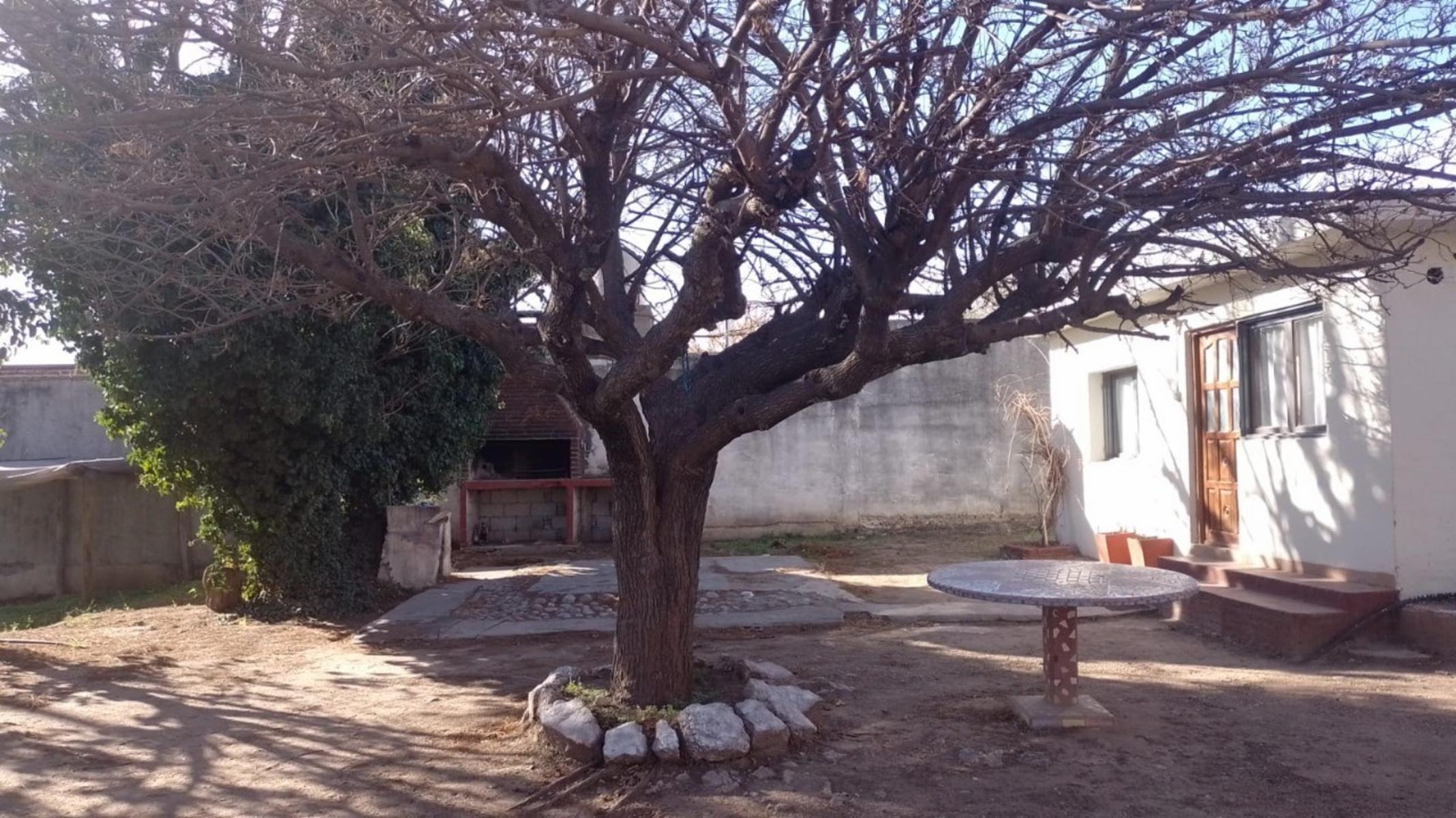 Ruta 14 · San Alberto — foto 10