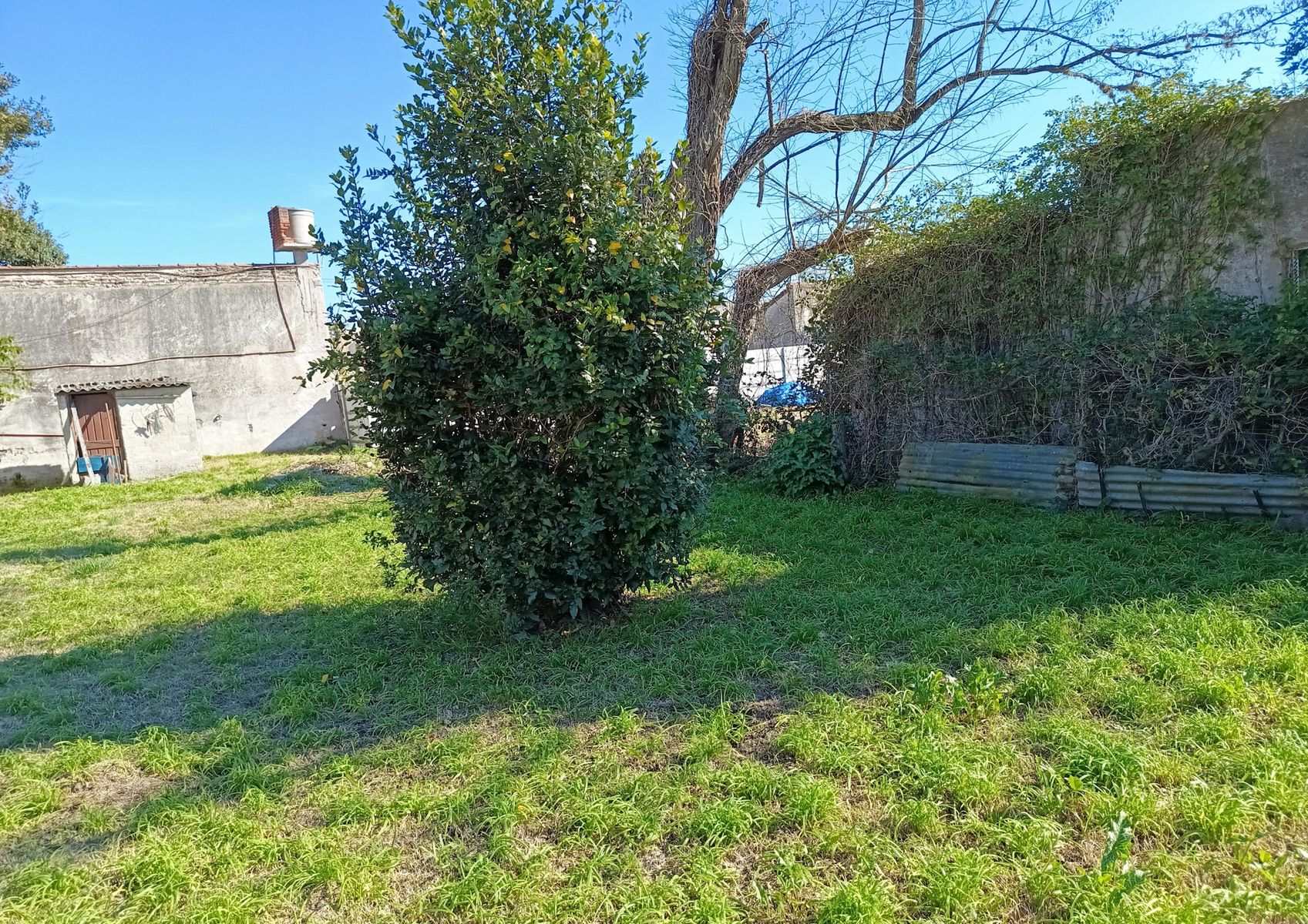 Balcarce 344 · Dolores — foto 3