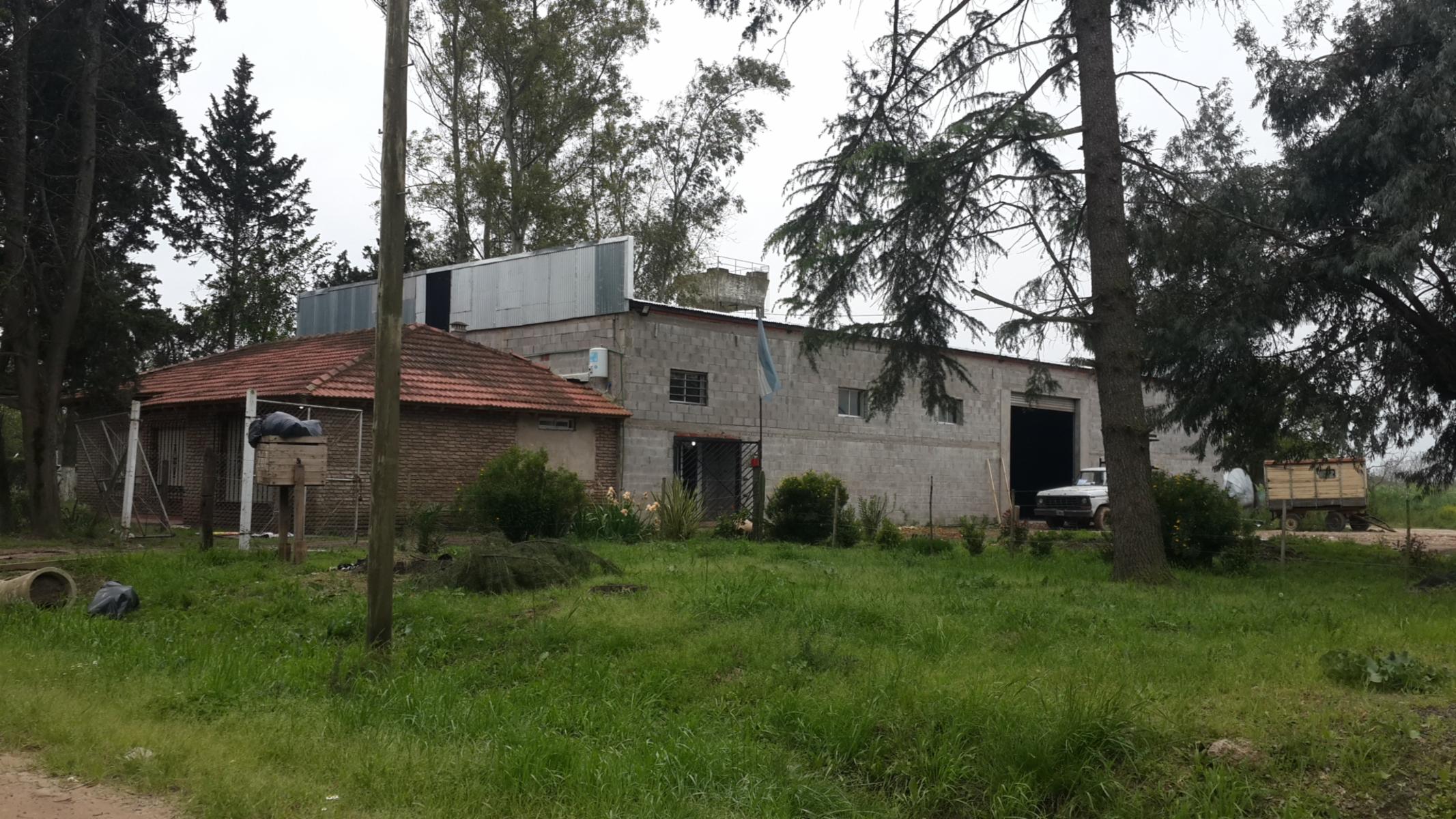SUIZA 267 9C · Cañuelas — foto 14