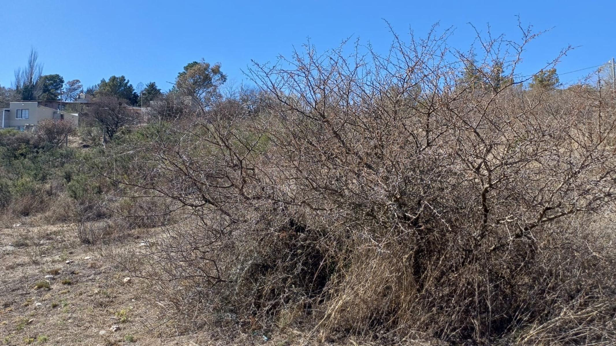 VILLA GIARDINO - PORTECELLO · Punilla — foto 11