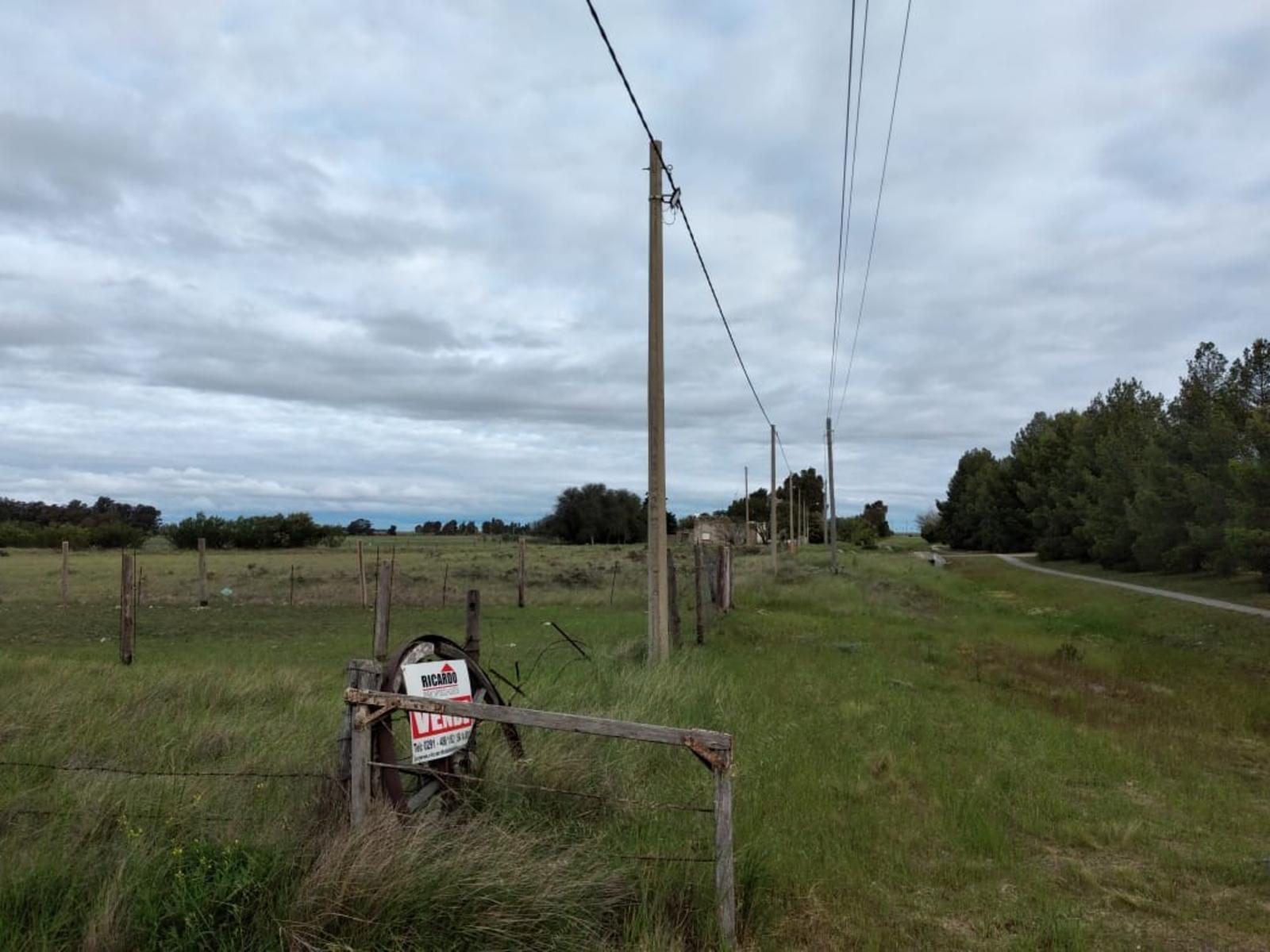 saavedra · Bahia Blanca — foto 4
